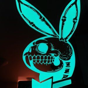 Playboy skeleton bunny etched lighted mirror